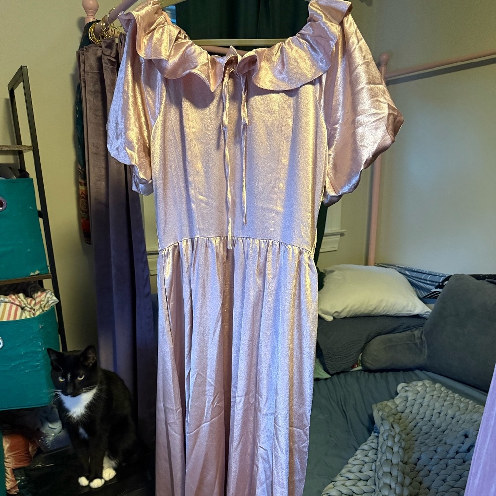 Ivy City Billie Dress Size XL